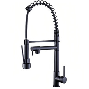 NEW  2504   Stainless steel dual-purpose spring faucet   9313