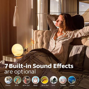 NEW 2511 Simulated Sunrise And Sunset LED White Noise Sleep Atmosphere Wake-Up Light 9875