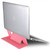 Adjustable Laptop &Tablet Holder Stand