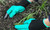  NEW  Garden Heavy Duty Claw Gloves  6077