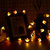Little Bee Solar String Light 6.5 meters 30 lights