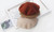 Timeless French Elegance Wool Beret-3083la
