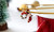 Pack of 4 Christmas Themed pendant Tea Spoon Set9472