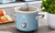 Swan 1.5L, 3.5L or 6.5L Retro-Style Slow Cooker