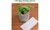 NEW-Non-woven seedling bag-LA