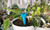 NEW-Piece Set of Plant Automatic Water Drip Spikes