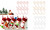 Pk of 20 Christmas Star shape Hook for decorations-la