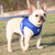 NEW  Anti-Pulling Pet Harness  0236 LA