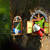 Cute gnome open window Garden decoration