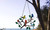 Bundle of All Stained Glass Effect Birds Hanging Garden Decoration