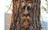 NEW Tree bark face tree monster facial features ornaments   5019