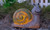 NEW Solar lawn lamp decoration outdoor simulation snail park villa decoration 5142
