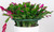 NEW Support Pile Garden Planter Semicircle Plant Support Plastic Plant Cage  5147