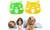 NEW 2PCS Dog shape pet sticker clothing hair remover washing machine hair removal 5249