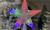 NEW Christmas tree led luminous stars overhead lights 5591