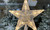 NEW Christmas tree led luminous stars overhead lights 5591