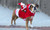 NEW Pet Dog Christmas Supplies Christmas Santa Riding Deer Costume 5628