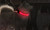 NEW Rechargeable LED Lighting Dual Fiber Pet Dog Collar 5633