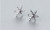 NEW 925 Sterling Silver Snowflake Stud Earrings 5776