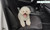 NEW Pet car seat cushion 5942