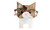 NEW Animal Wooden Glasses Holder Stand 6014