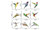 NEW 9PC 3D stereo Hummingbird sticker static glass decals crash-proof window wall stickers 6050