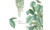 2303 NEW Tropical Plant Wall Decal, Turtle Back Bamboo Garden Small Fresh Wall Decal 6616