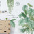 2303 NEW Tropical Plant Wall Decal, Turtle Back Bamboo Garden Small Fresh Wall Decal 6616