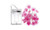 2305 NEW LED solar copper wire lamp, cherry blossom shaped bedroom decoration, small colored light, flashing light string 7023 