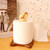 2306 NEW  Sun Desktop Stand Cat Paw Decorative Paper Towel Holder 7322 