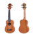 Winzz Mahogany Concert Ukulele Starter Kit 23 Inch Aquila Strings For Beginners with Bag, Clip-On Tuner, Extra Strings, Strap, Plectrum, Fret Stickers, Chords Card, Polishing Cloth, Satin