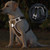 2309 NEW  Vest style large dog chest and back explosion-proof pet chest and back strap 8131 LA