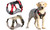 2309 NEW  Vest style large dog chest and back explosion-proof pet chest and back strap 8131 LA