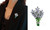 2309 NEW Lavender brooch female personality temperament jacket cardigan brooch pin 8159 la