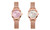 2309 NEW Women's minimalist waterproof luminous dual calendar watch 8201 la