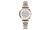 NEW2406-Starry Steel Band Gold Quartz Watch6997