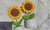 2406 NEW Knitted yarn sunflower potted home decoration 8618