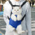 2406 NEW Portable pet chest bag for outdoor use, mesh breathable backpack 8623LA