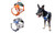 2406 NEW Dog chest strap front buckle explosion-proof punch color pet traction rope 8626LA