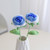 2406NEW-5pcs Random colour pattern Hand-woven bouquet milk cotton8714