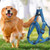 2406 NEW Adjustable triangular pet chest strap LA8650