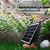 NEW 2507 Spray solar flower watering machine 9342