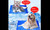 Large Pet cooling gel mat 