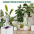 NEW  2508  Timed Intelligent Automatic Green Plant Drip Irrigation Watering  9449