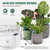 NEW  2508  Timed Intelligent Automatic Green Plant Drip Irrigation Watering  9449