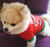 NEW 2510 Dog Clothes Christmas Clothing Classic Pet Christmas T-shirt 9579