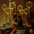 NEW 2510 20pcs LED Glow Balloons 20" – Fairy Light Party & Wedding Decor Set 9923