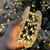 NEW 2510  30m/100m LED Christmas Tree Lights – Waterproof Fairy String with Remote 9928