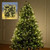NEW 2510  30m/100m LED Christmas Tree Lights – Waterproof Fairy String with Remote 9928