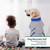 NEW 2601  Pet Recovery Suit for Dogs – Soft Post-Surgery Protective Vest 9977